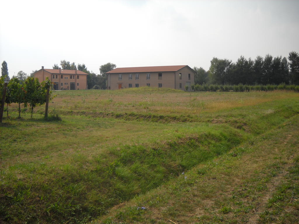 Agriturismo Campi Di Grano Roncade Luaran gambar